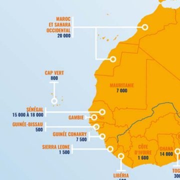 Carte des flottes de pirogues en Afrique