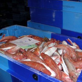 Traceability of crates and fishing products using RFID technologies