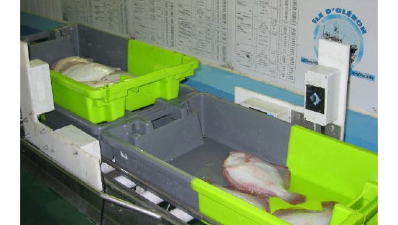 Identification et traçabilité