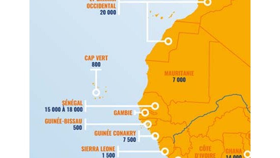 Carte des flottes de pirogues en Afrique
