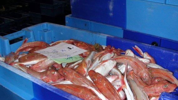 Traceability of crates and fishing products using RFID technologies