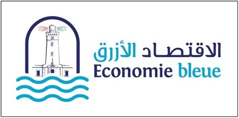 Maritime Survey : Projet VMS Économie Bleue Algérie 2022 > 2025