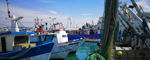 Maritime Survey : SANGOMAR project