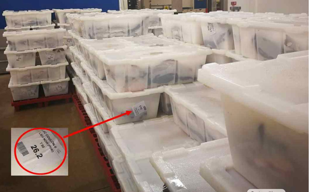 La RFID dans le monde de la Pêche Industrielle et artisanale